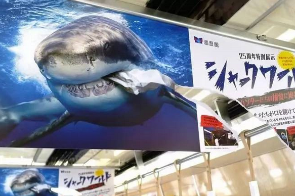這是一張海報的正反面。人們很容易被這個破損的不尋常海報吸引注意力。