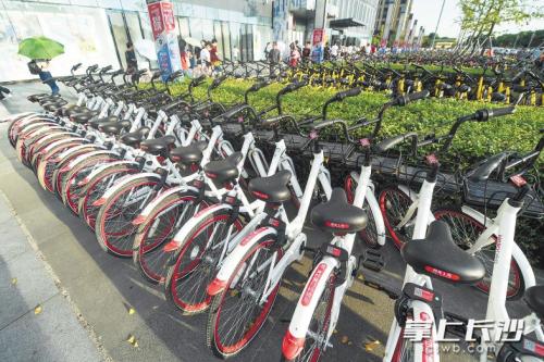 昨日下午，在開福區(qū)萬達(dá)廣場(chǎng)，成片的共享單車停放在廣場(chǎng)前坪。 長(zhǎng)沙晚報(bào)記者 黃啟晴 攝