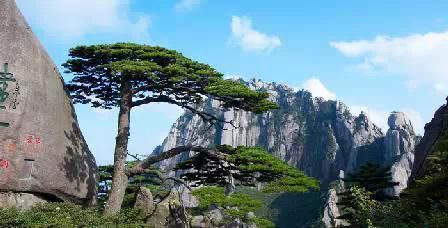 門(mén)票那么貴 沒(méi)法玩耍了！