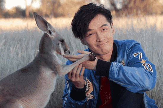 小袋鼠還有親到胡歌喲！