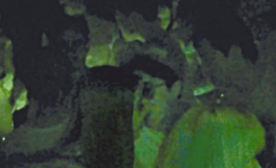 房祖名去年被港媒直擊在中環(huán)夜店與長(zhǎng)發(fā)妞互動(dòng)曖昧，女生正是Nana