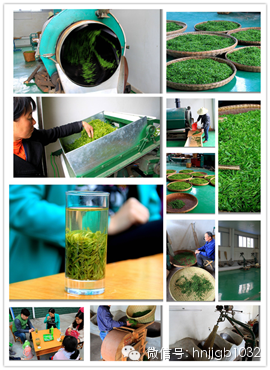 制茶的工藝真地道，仿佛聞到了茶香