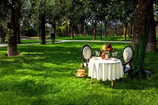 秋陽鴻園，芳草青青