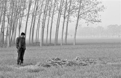 11月21日，高松中站在腦癱雙胞胎兒子墳前。