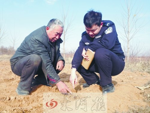 牡丹苗被盜之后，郭萬通又補種的牡丹苗已經發(fā)芽