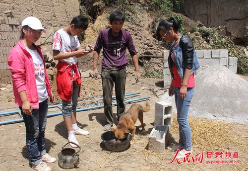 渴壞了的小黃狗在喝水。王生元/攝