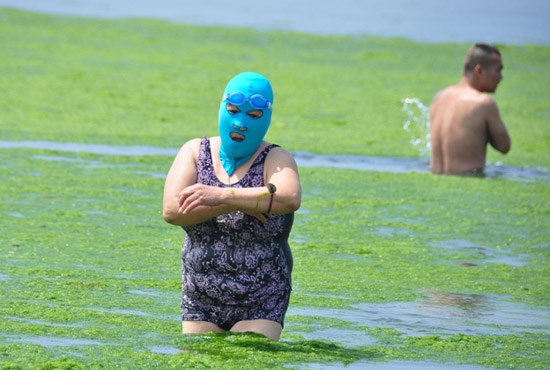 2013年7月3日，山東青島青島高溫來襲，“青島大媽”不懼滸苔，戴著“強(qiáng)盜面具”出現(xiàn)在海水浴場消暑降