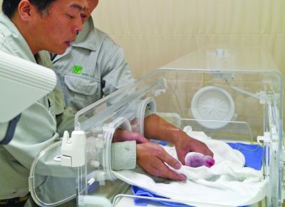 大陸贈(zèng)臺(tái)大熊貓“圓圓”誕下第一胎 大陸贈(zèng)臺(tái)大熊貓“圓圓”誕下第一胎