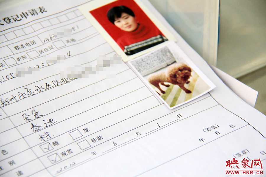 辦理狗證，需要填寫申請(qǐng)表