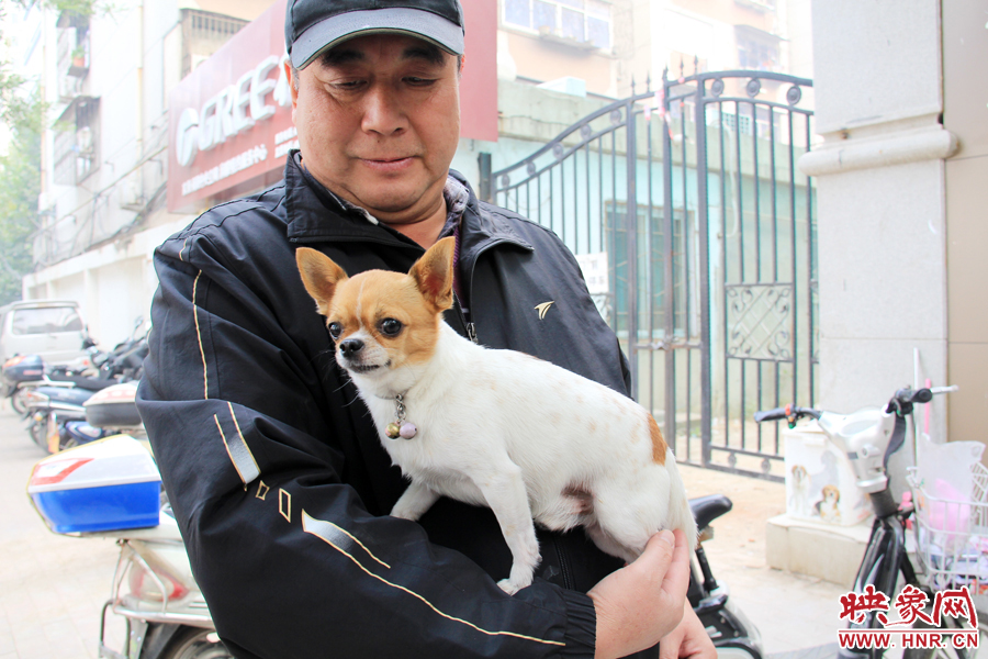 在市民眼里，小狗狗都是他們的小寶貝