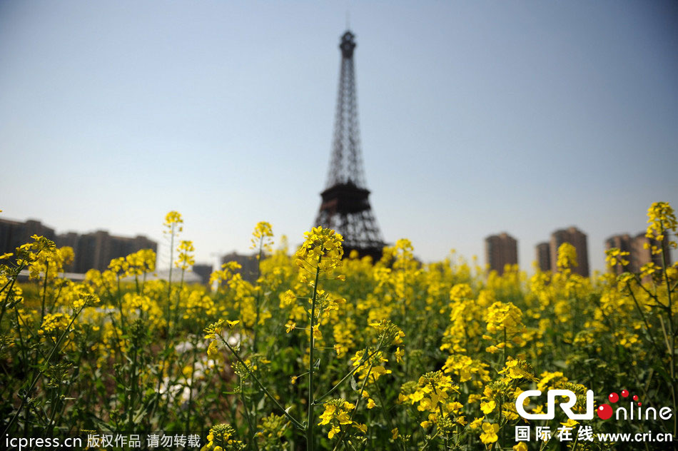 　2014年3月21日，杭州天都城，農(nóng)民在山寨埃菲爾鐵塔下耕作。圖片來(lái)源：東方IC