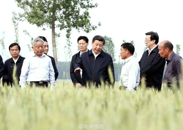 習近平走進糧田,看麥穗灌漿,問農(nóng)田建設。