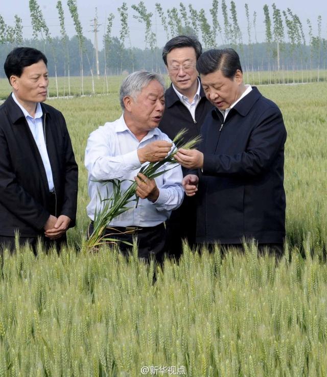 習近平走進糧田,看麥穗灌漿,問農(nóng)田建設。
