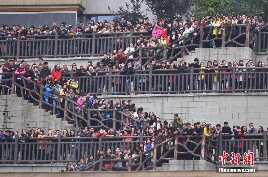 重慶上萬粉絲在南濱路等待《奔跑吧兄弟》節(jié)目的錄制。