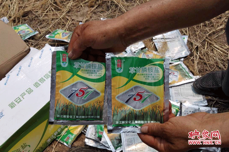 毀掉玉米的農藥袋散落在地頭。