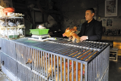 南京另一家農(nóng)貿(mào)市場(chǎng)內(nèi)待售的活雞。因南京出現(xiàn)H7N9禽流病例，買活雞的顧客減少。