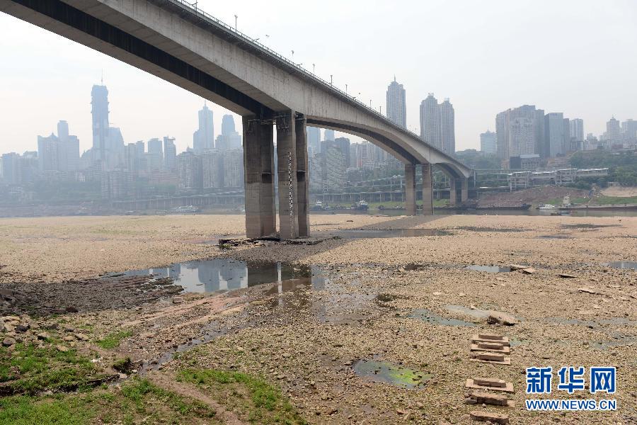 重慶黃花園大橋下大面積江灘裸露(5月4日攝)。