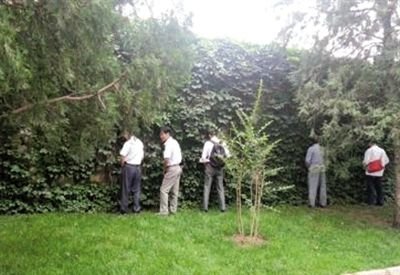 6月30日，頤和園內(nèi)綠地上，多名游客在小解。 網(wǎng)友“攝影老鬼” 攝