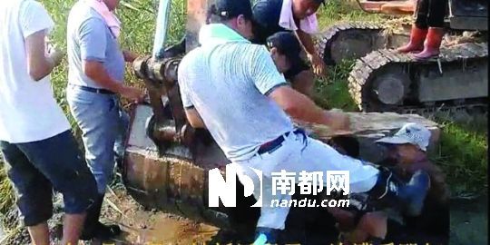 幾名戴黑帽的男子將一名老人推入水塘，后反復(fù)腳踹。