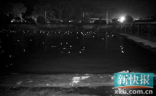 昨日，西湖村鱷魚養(yǎng)殖場已修復圍欄。