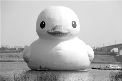 昨日，經(jīng)過(guò)連夜修正，大黃鴨的嘴部已恢復(fù)變寬，和在香港展出時(shí)看起來(lái)一樣。