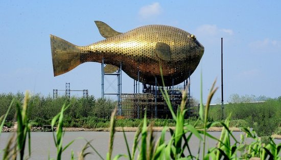 昨天，揚(yáng)中市西沙島，正在施工的河豚塔金光閃閃