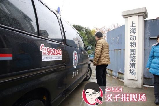 殯葬車到達(dá)現(xiàn)場(chǎng)。新民網(wǎng) 記者 蕭君瑋 攝