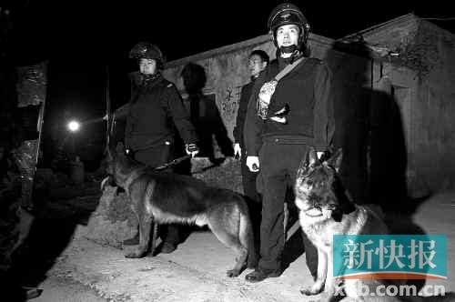 緝毒犬協(xié)助警方搜查毒品。