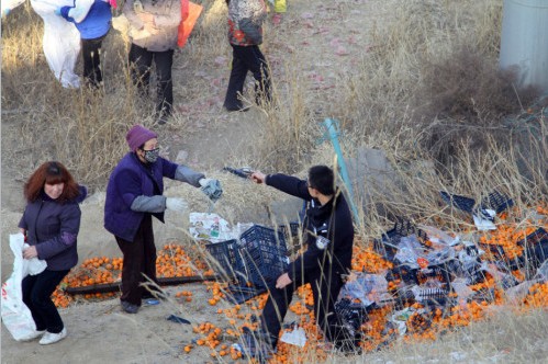 蘭州貨車側(cè)翻橘子遭百余村民哄搶，警察拔槍制止