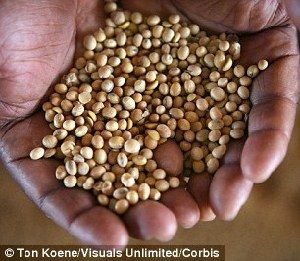 超強厄爾尼諾將引發(fā)全球極端天氣，中國北方或極端高溫-