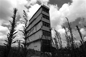 這幢5層的“片片樓”周圍已是一片拆遷后的廢墟，左邊的一堵墻上，不少鋼筋裸露在外面 圖片來源：新華網(wǎng)