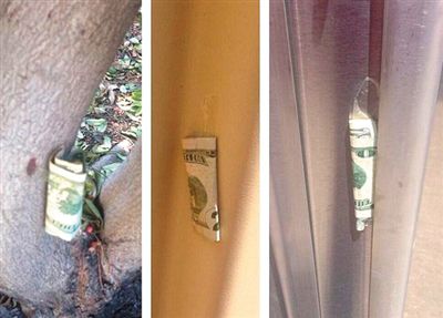 “隱藏的鈔票”會被神秘人藏在公園、廁所等“奇怪的地方”。