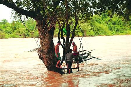 蓋屋、種菜，“從沒這樣快樂”