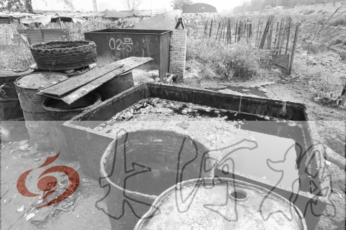 　　骯臟、令人作嘔的油桶凌亂地?cái)[放在院子里，為了避免視覺刺激，我們把它做成了黑白圖片。