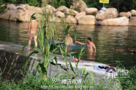 網(wǎng)友曝光的現(xiàn)場圖片。（圖片來自網(wǎng)絡）