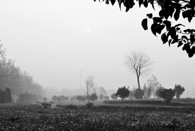 3月26日上午8點(diǎn),鄭大新校區(qū),濃濃的霧霾埋沒(méi)了大好春景。