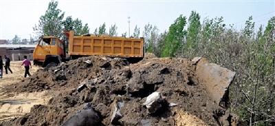 垃圾將生態(tài)涵養(yǎng)林給埋住了。