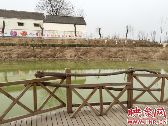 護(hù)欄損毀的地方，已經(jīng)被兩根樹(shù)干擋住。