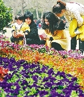 近距離才能拍得更真切。