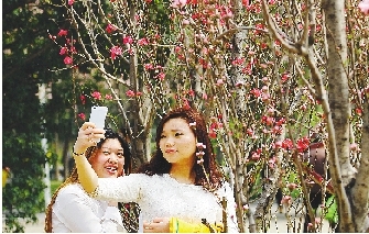 市民在公園與花合影。