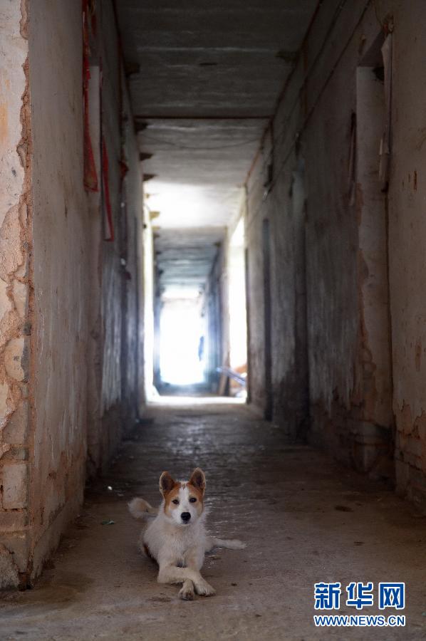 農(nóng)場棚戶區(qū)的最后留守家庭：留下的是回憶，迎來的是幸福