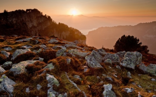 繼續(xù)一段弗里堡的午后時(shí)光 繼續(xù)一段弗里堡的午后時(shí)光
