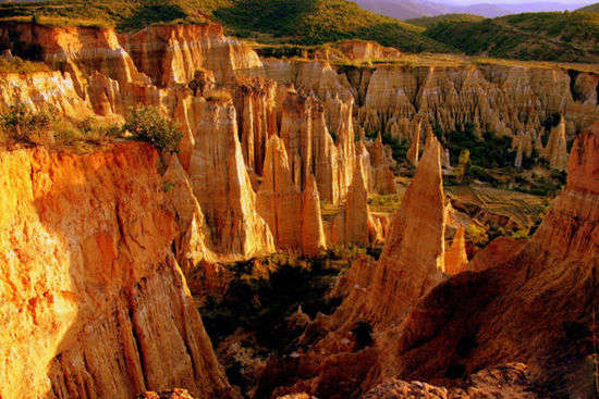 拍彩色沙林賞春桃 拍彩色沙林賞春桃