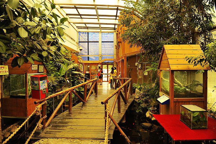 10月的秋季 體驗(yàn)不一樣的國(guó)內(nèi)美妙旅程