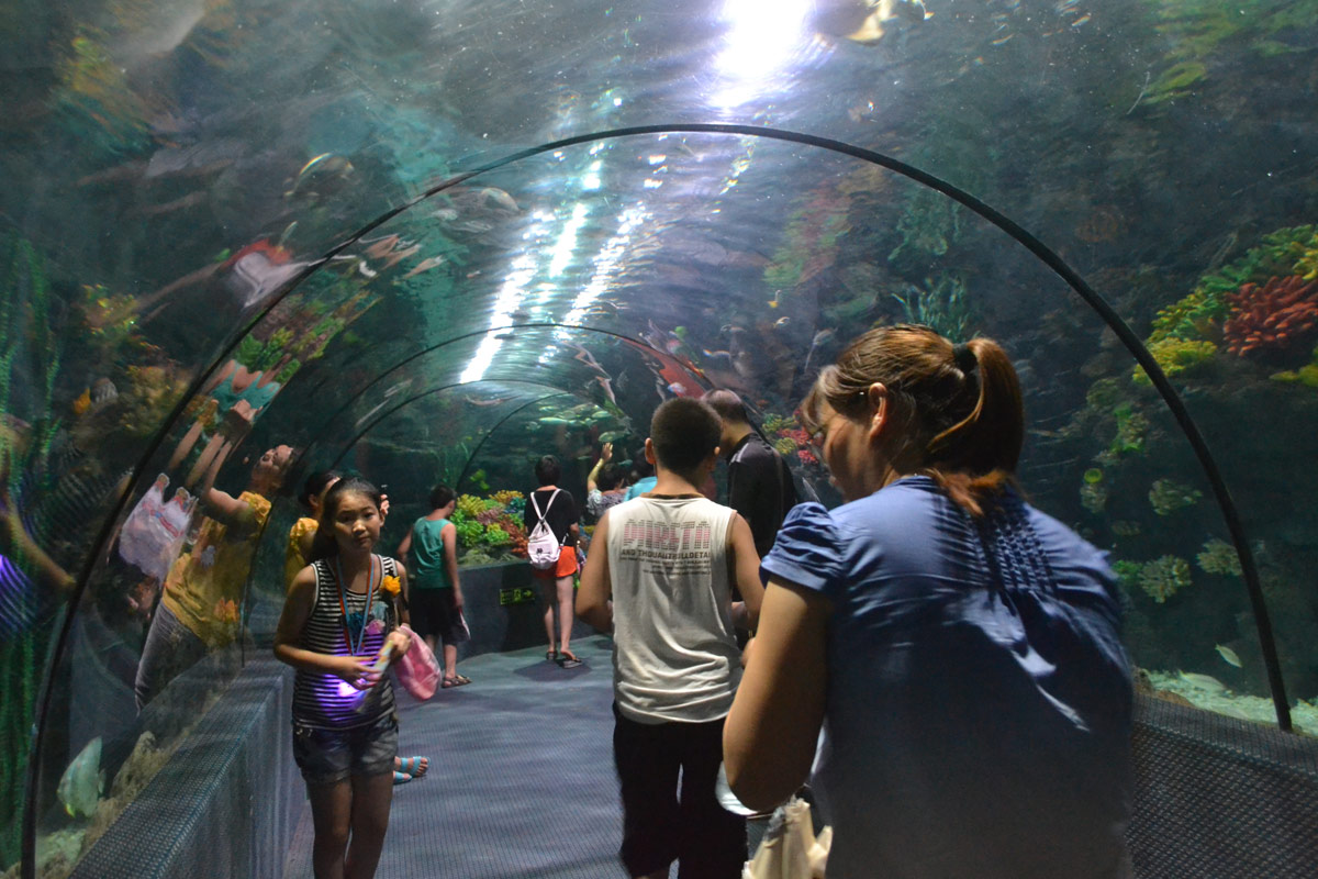 春節(jié)去哪兒？出游地圖告訴您！