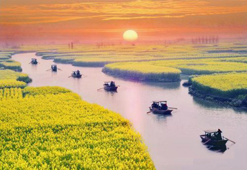 如何拍攝油菜花？達(dá)人教你7個(gè)拍攝技巧