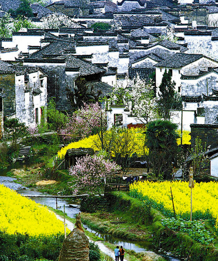 如何拍攝油菜花？達(dá)人教你7個(gè)拍攝技巧