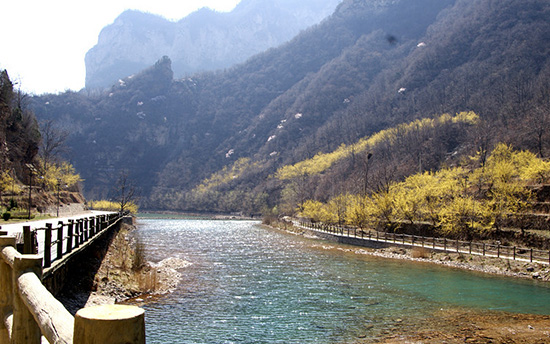 有一種呼喚，叫春天里的蟒河！