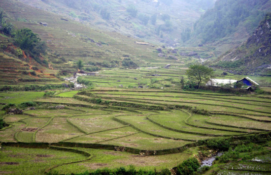 越南簽證費下調(diào) 快去感受東南亞風(fēng)情 越南簽證費下調(diào) 快去感受東南亞風(fēng)情