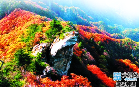 團圓祈福獻孝心 父母免費游堯山 團圓祈福獻孝心 父母免費游堯山